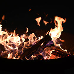 Osternachtsfeier mit Weihbischof Turnovszky