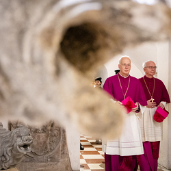 Erzdiözese Wien/ Schönlaub, Stephan Schönlaub