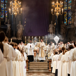 Chrisammesse 2025 / Erzdiözese Wien/ Schönlaub, Stephan Schönlaub